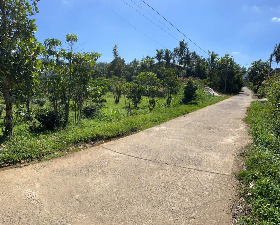 Đất thổ cư Đại Lào Bảo Lộc 1162m² giá 2 tỷ - Đầu tư sinh lời ngay!