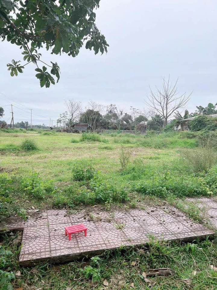 Đất nền Nam Phước - 105m² chỉ 425 triệu - Cơ hội đầu tư hấp dẫn!