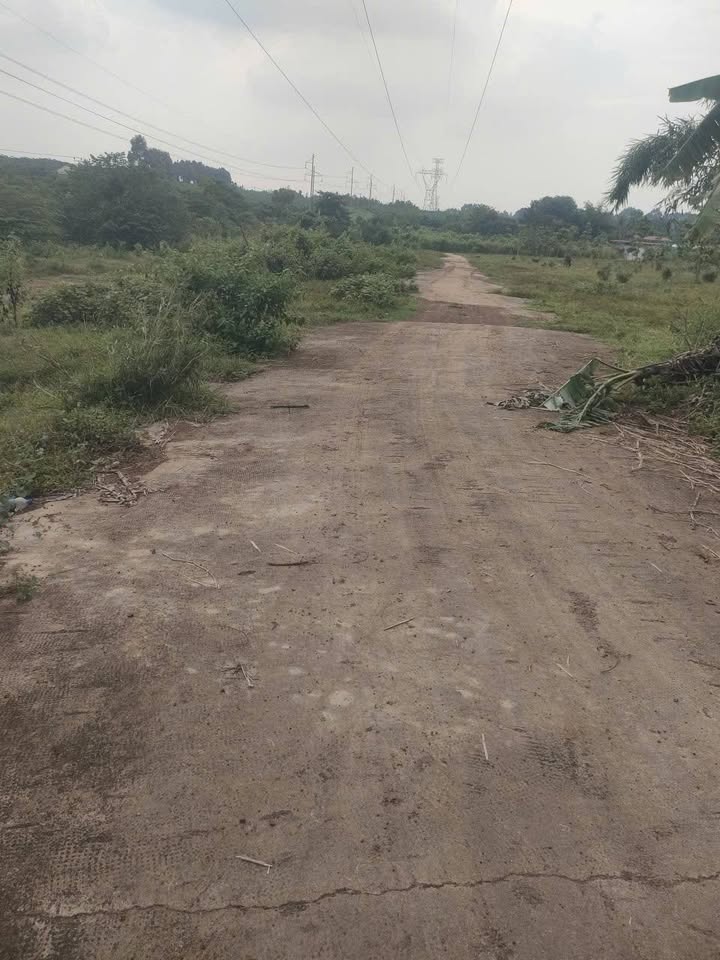 Đất nền xã Hưng Thịnh Đồng Nai 2350m² giá 4.05 tỷ - Đầu tư sinh lời ngay!