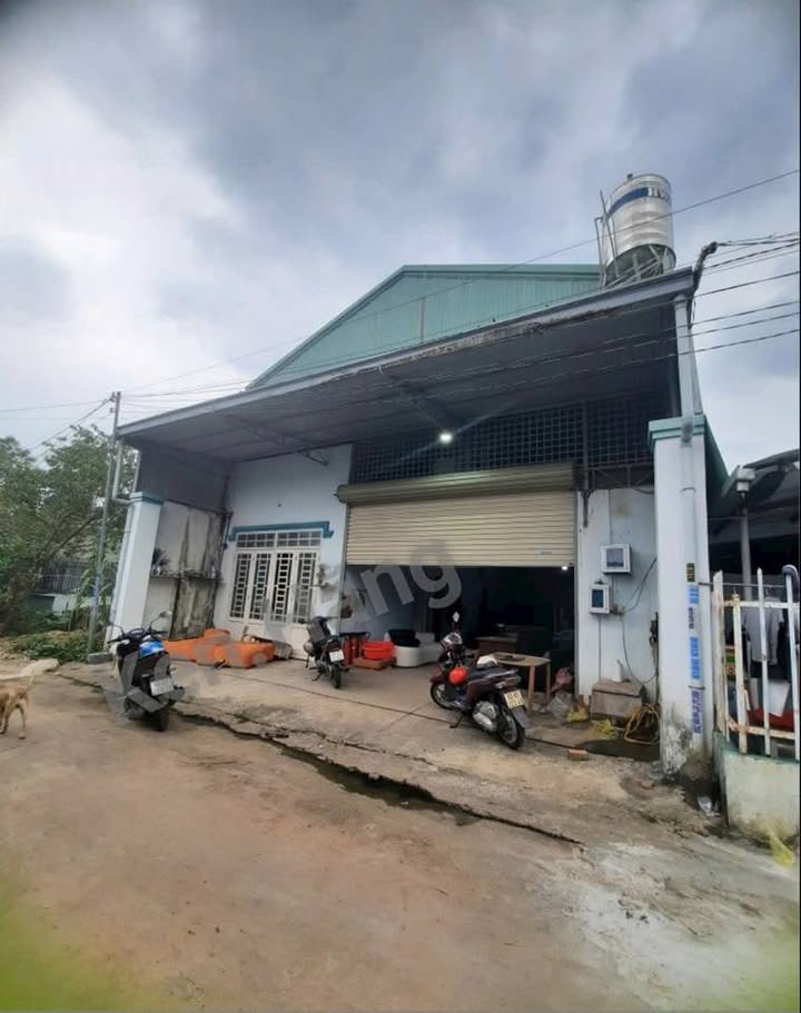 Cho thuê kho xưởng và nhà ở tại Tương Bình Hiệp, Thủ Dầu Một - Giá chỉ 7 triệu/tháng!