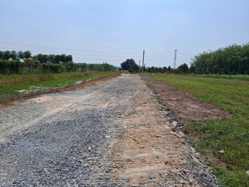 Đất thổ cư 138m² tại Bàu Đồn, Gò Dầu chỉ 350 triệu - Cơ hội đầu tư tuyệt vời!