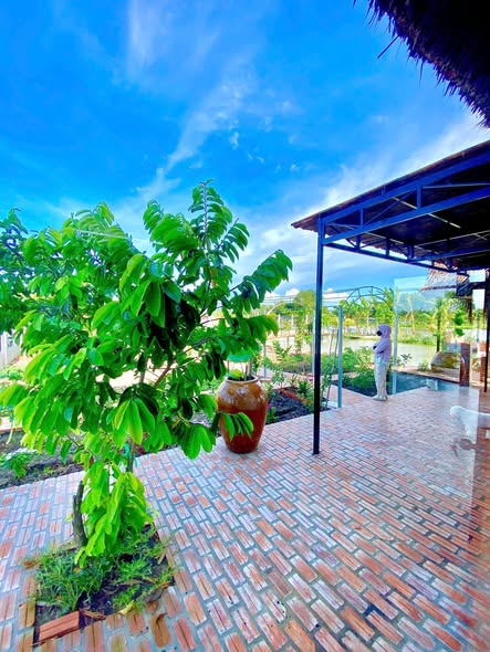 Nhà vườn Rạch Giá 1073m² giá 1.69 tỷ - Thiên đường nghỉ dưỡng cuối tuần!