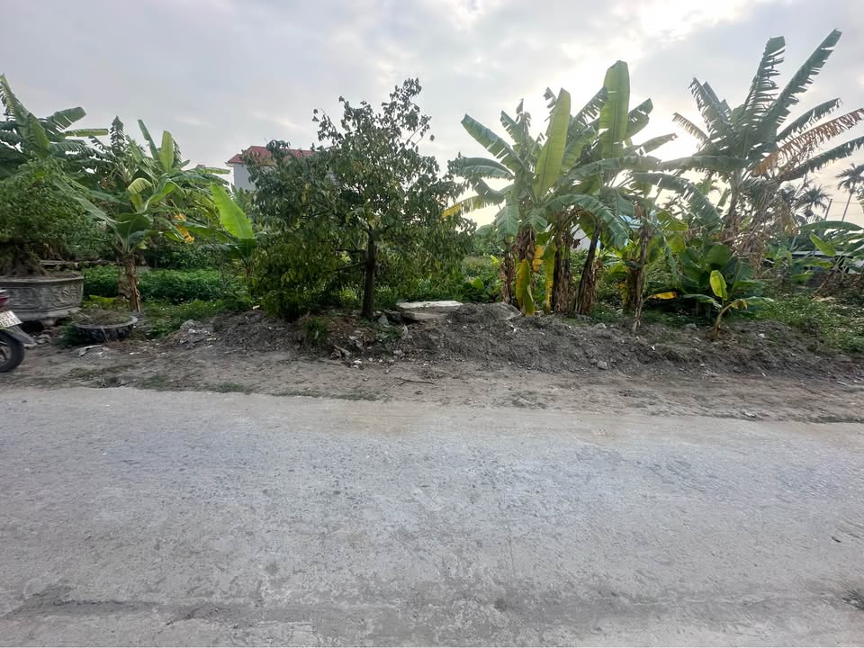 Đất nền Hoàng Quế, Đông Triều 175m² giá 900 triệu - Cơ hội đầu tư hấp dẫn!