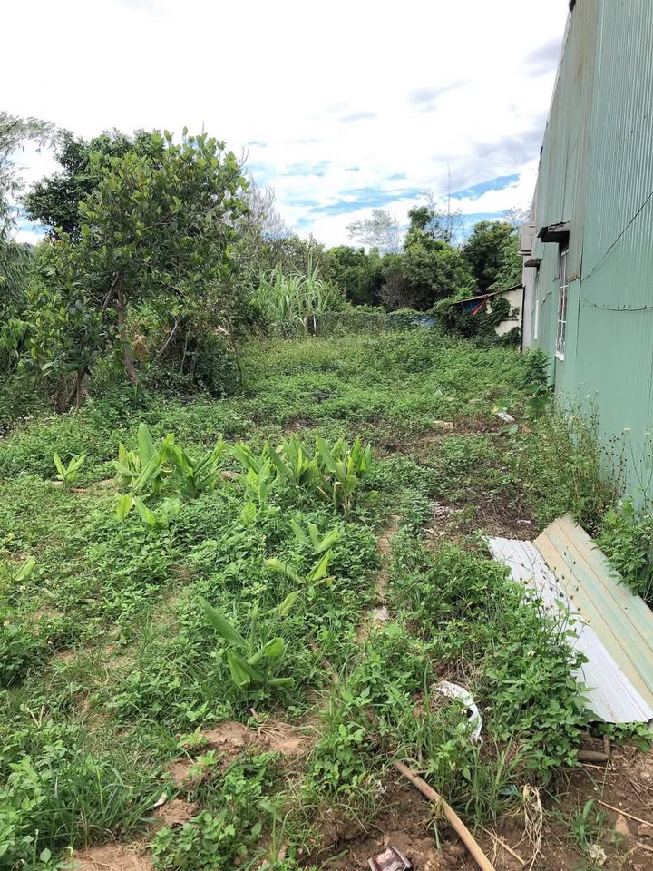 Lô đất chính chủ An Tân, An Khê 180m² - Sổ đỏ sang tên nhanh chóng!