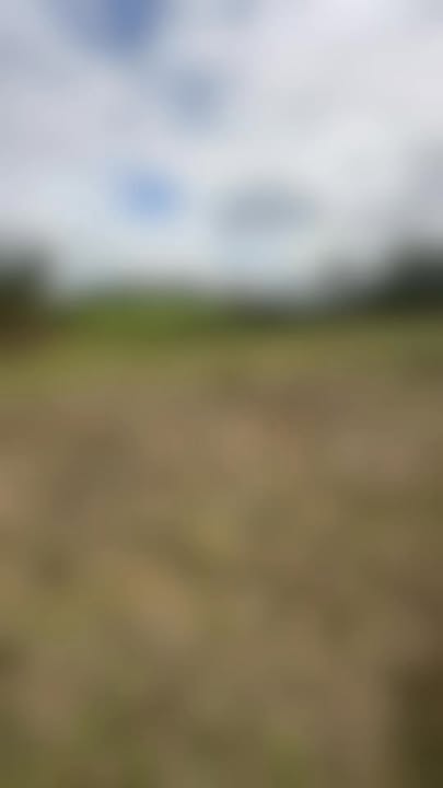 Lô đất thổ cư 211m² xã Chơ Glong, Kông Chro, Gia Lai chỉ 170 triệu - Đầu tư lý tưởng!