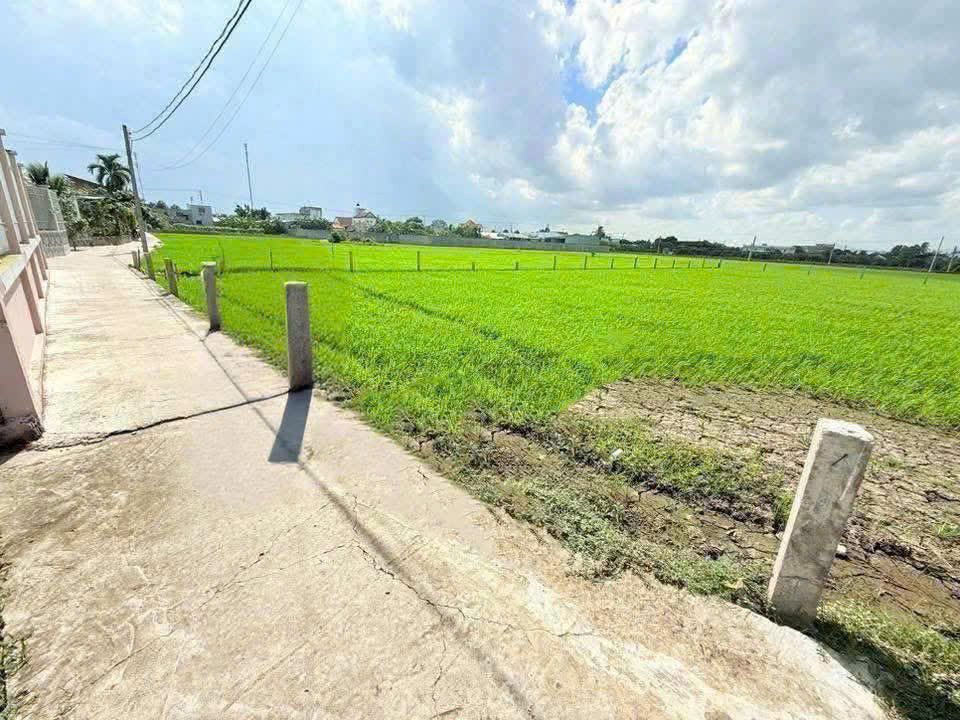 Đất nền Ấp Chánh, Long Hiệp, Bến Lức 2200m² giá 3.2 tỷ - Sổ đỏ chính chủ, thổ cư