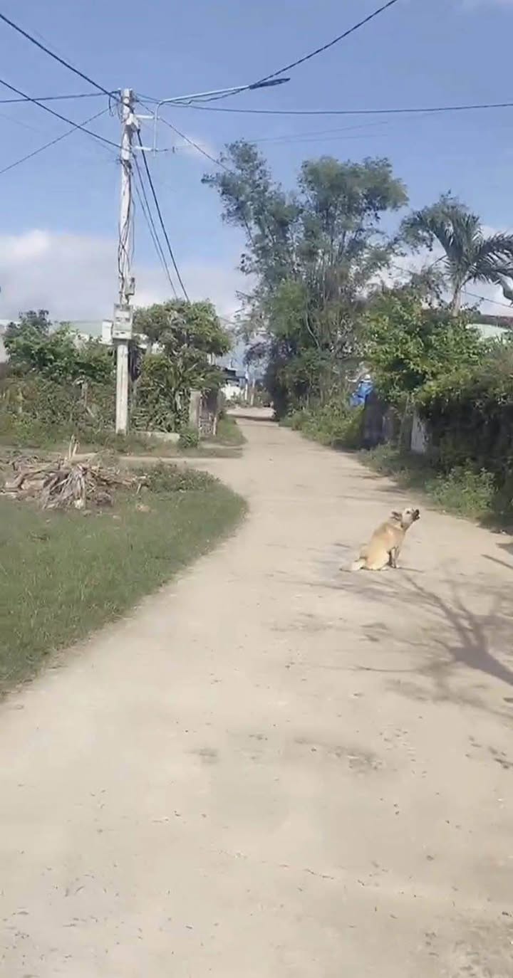 Đất nền phường Bình Định 136m² giá 599 triệu - Cơ hội đầu tư không thể bỏ lỡ!