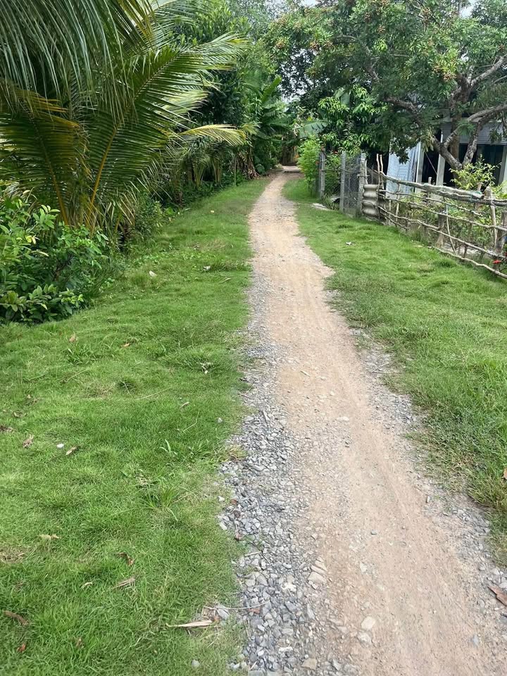 Đất nền đôi xã Bình Hàng Trung, Cao Lãnh, Đồng Tháp 1050m² - Giá 600 triệu, cơ hội đầu tư tuyệt vời!