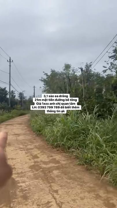 Đất nền Ea Drông Buôn Hồ 11160m² - Mặt tiền đường bê tông giá tốt!