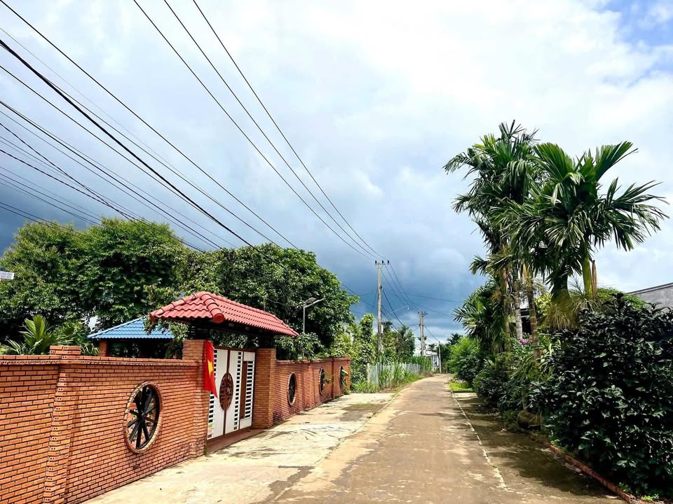 Đất thổ cư 135m² tại Buôn Ma Thuột - Giá chỉ 535 triệu, cơ hội đầu tư tuyệt vời!