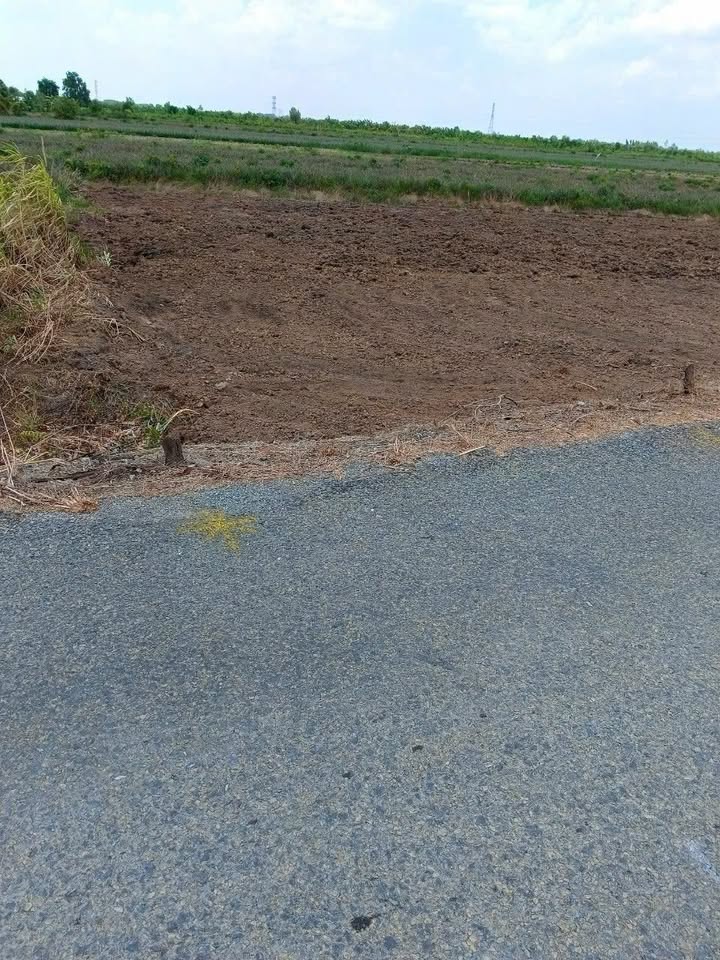 Đất thổ cư Hưng Thạnh, Tháp Mười 180m² giá 300 triệu - Cơ hội đầu tư tuyệt vời!