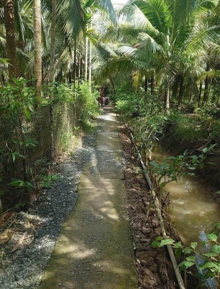 Đất vườn Dừa Lương Hòa 1.067m² giá 400 triệu - Đầu tư sinh lời ngay!