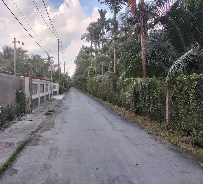 Đất mặt tiền 2 công tại Châu Hòa, Giồng Trôm, Bến Tre - Giá 1.4 tỷ, cơ hội kinh doanh tốt!