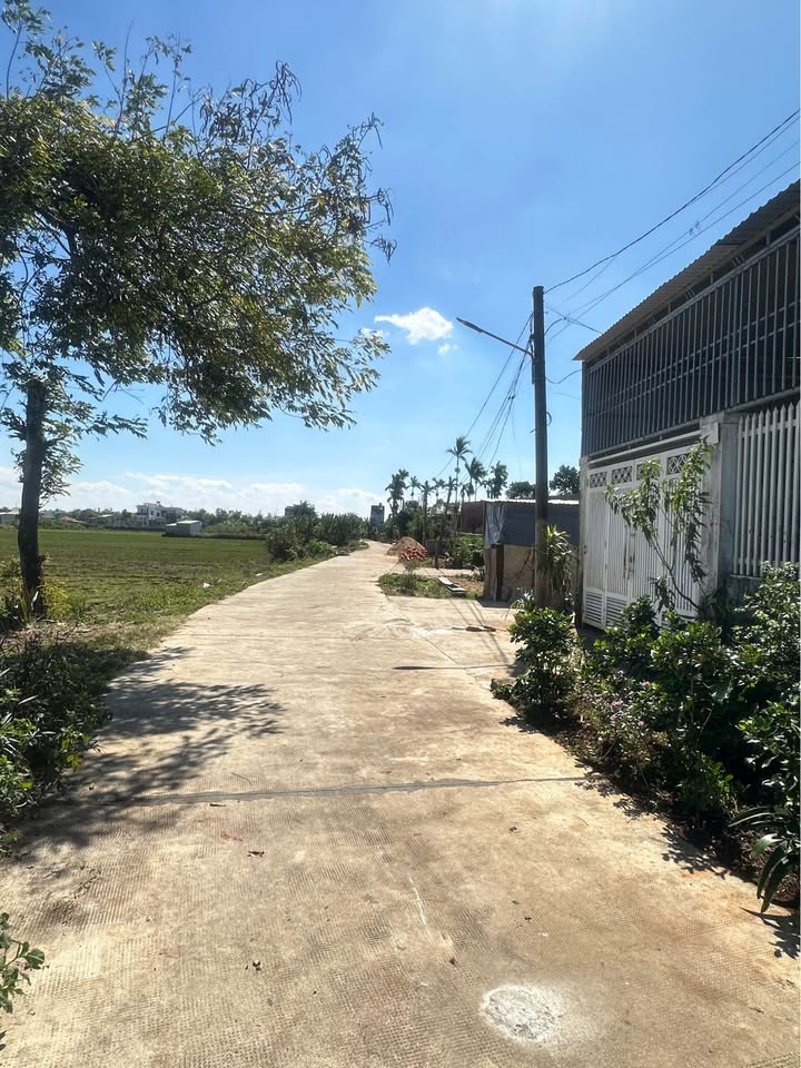 Lô đất đẹp Hẻm 240 Phạm Ngọc Thạch, Phường Thống Nhất 135m² giá chỉ 700 triệu - Đầu tư lý tưởng!