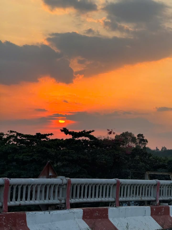 Đất nền Lai Uyên Bàu Bàng 1926m² giá 2.5 tỷ - Gần Quốc lộ 13, cây ăn trái đang thu hoạch!