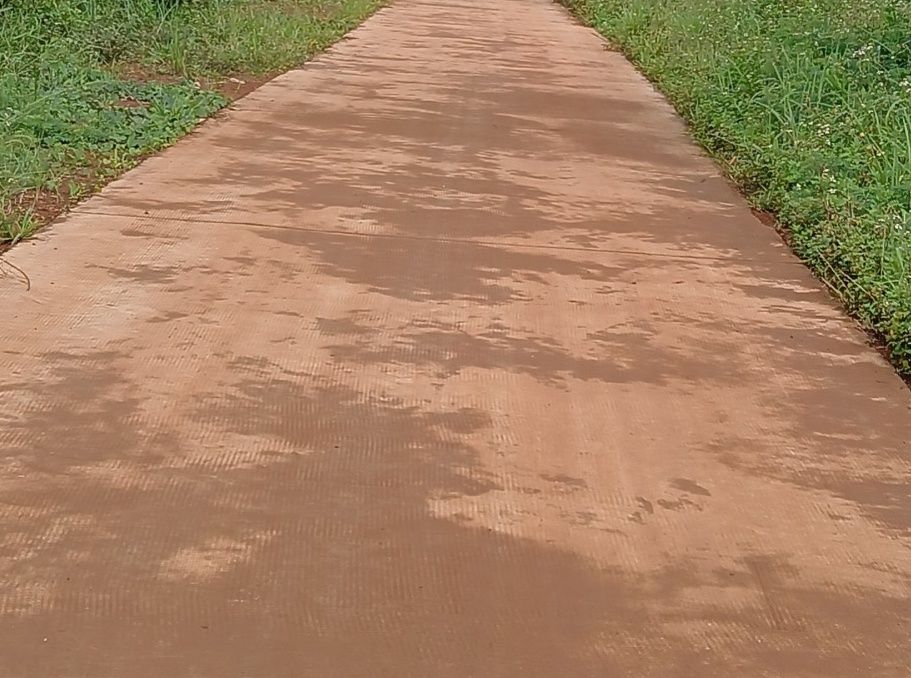 Đất nền Đắk Búk So 1000m² giá 310 triệu - Sổ đỏ chính chủ