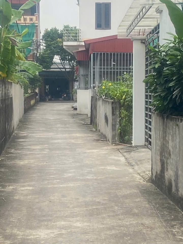 Đất liền kề Hoàng Diệu 54m² giá 1.3 tỷ - Đường ô tô vào tận nơi!