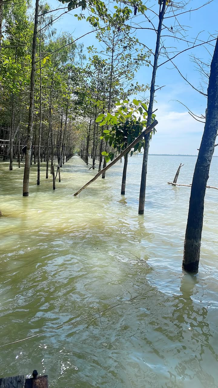 Bán đất mặt tiền Lê Thị Kim, Hóc Môn 840m² - Đầu tư sinh lời ngay hôm nay!