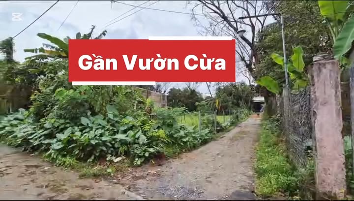 Đất vườn Hòa Hương Tam Kỳ 500m² giá 1 tỷ - Cơ hội đầu tư tuyệt vời!