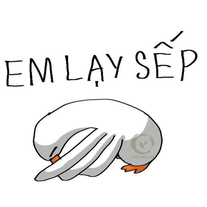 Đất nền khu vực Hòa Minh, quận Liên Chiểu - Giá chỉ từ 6.1 tỷ!