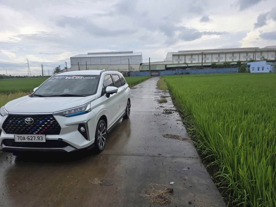 Đất nền Lạc Tấn, Tân Trụ 150m² giá 650 triệu - Đầu tư sinh lời ngay!