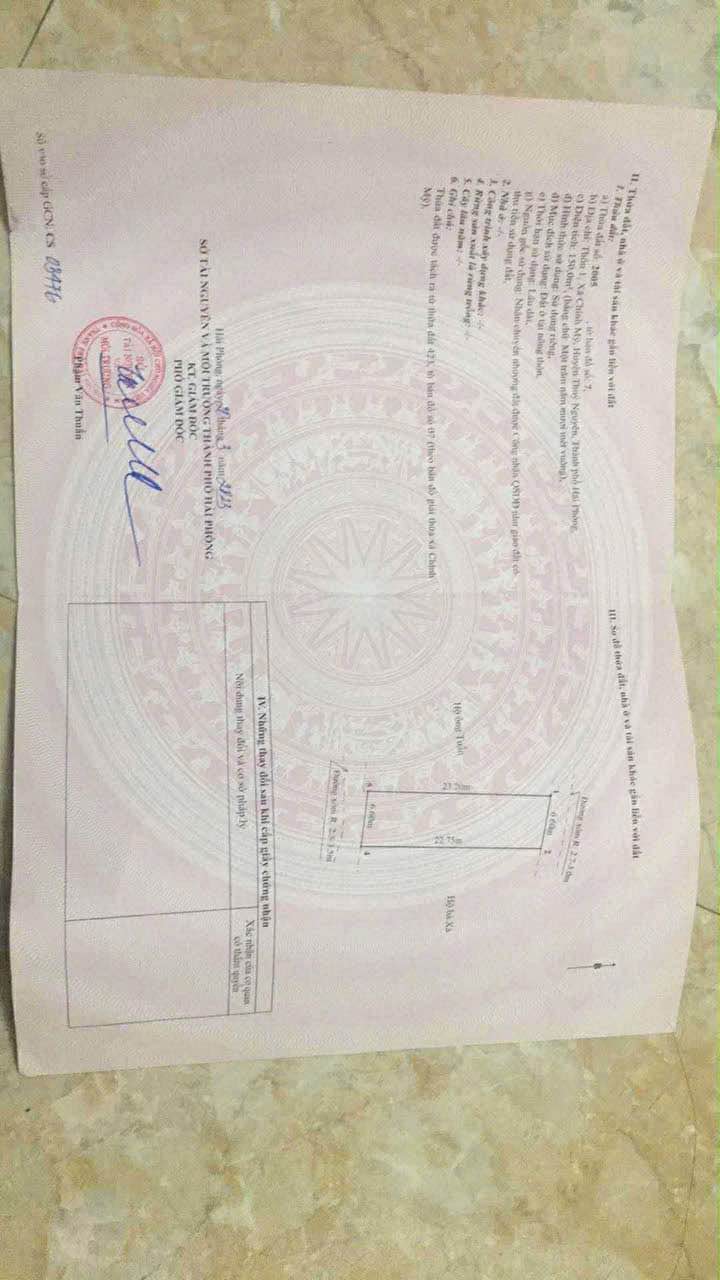 Đất nền Chính Mỹ Thủy Nguyên 150m² giá 700 triệu - Cơ hội đầu tư sinh lời!