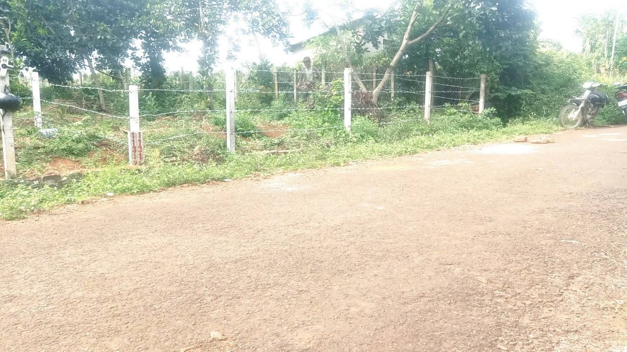 Đất mặt tiền đường Ea Ktur, Cư Kuin 330m² giá 460 triệu - Cơ hội đầu tư hấp dẫn!