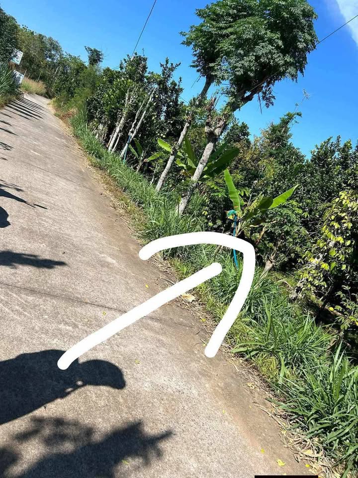 Đất nền Phú Lập - Tân Phú 327,7m² giá chỉ 570 triệu - Cần bán gấp!