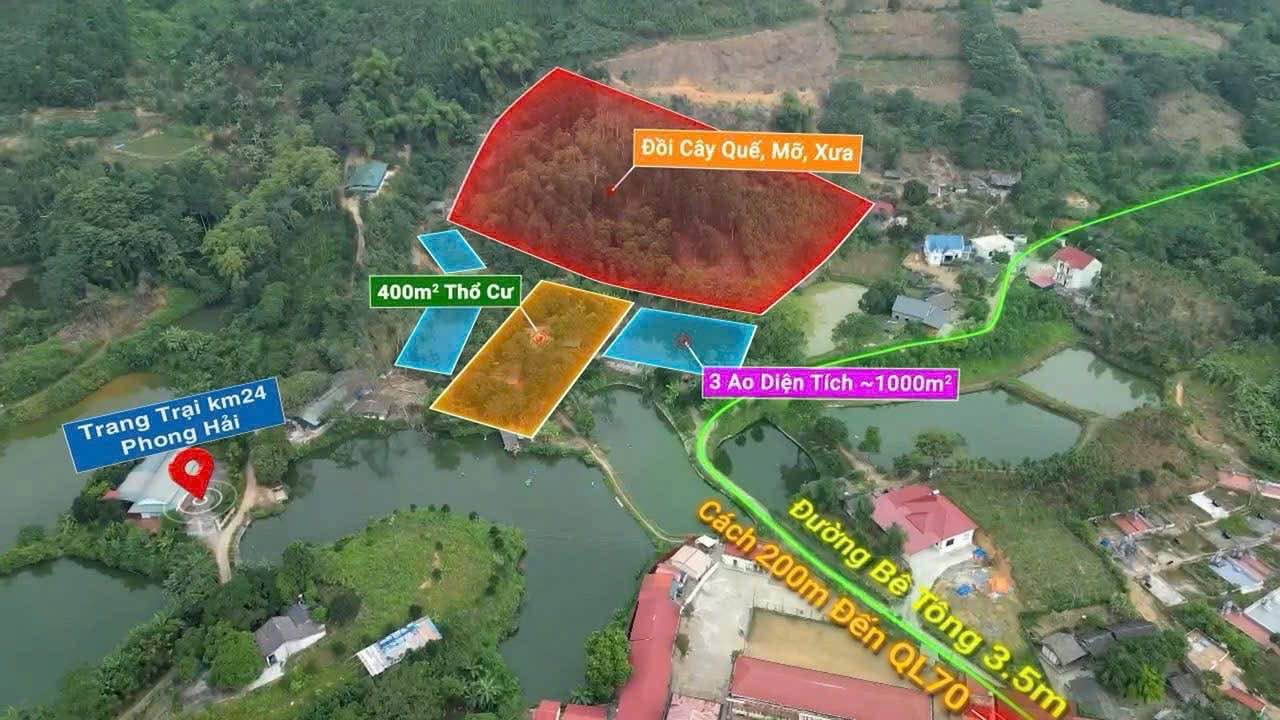 Trang trại đẹp tại Phong Hải, Bảo Thắng 10.000m² giá 1.98 tỷ - Sổ đỏ chính chủ!