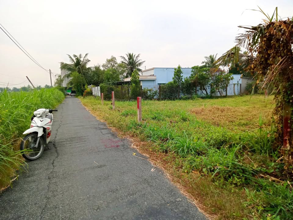 Đất nền Ấp Bình Hòa Đông, Gò Công Tây, 220m² giá 280 triệu - Đầu tư sinh lời ngay!