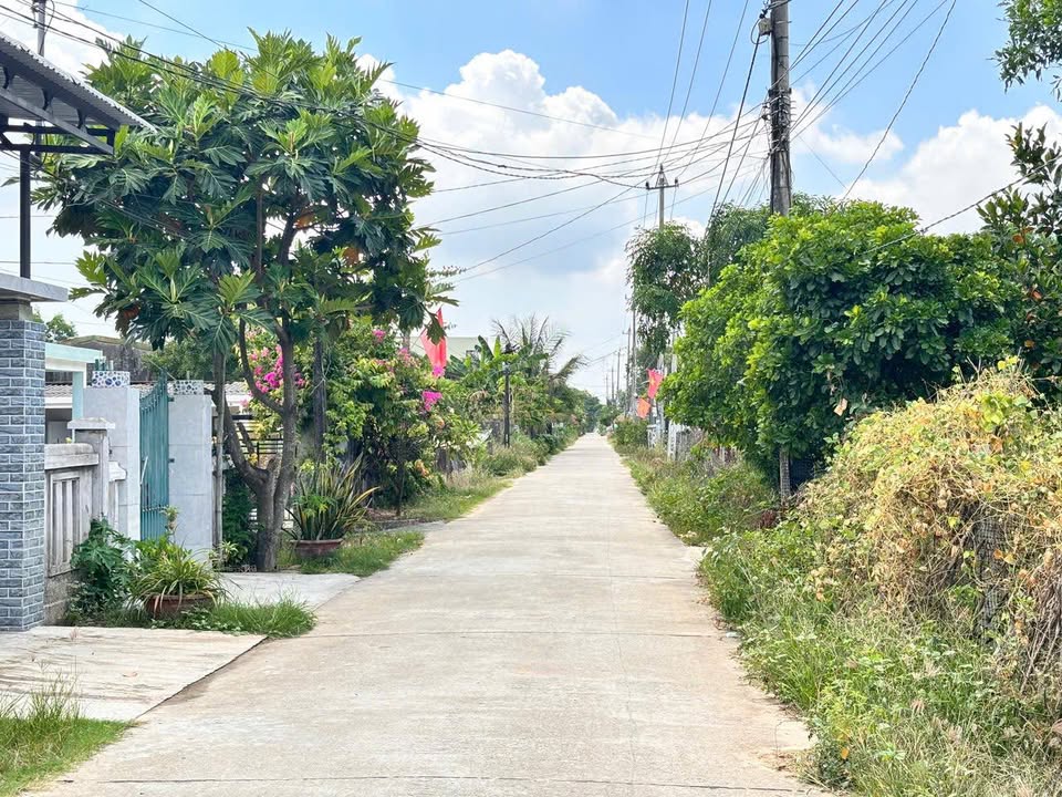 Đất nền Bình Trung Quảng Ngãi 195m² giá 800 triệu - Đường ô tô, gần trung tâm!