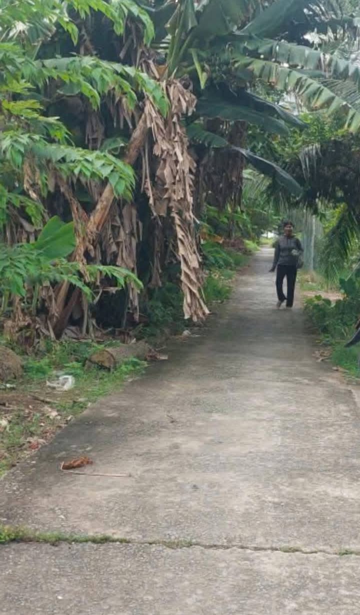 Đất ruộng 6000m² tại xã Tân Tiến, Vị Thanh - Giá chỉ 1.05 tỷ!