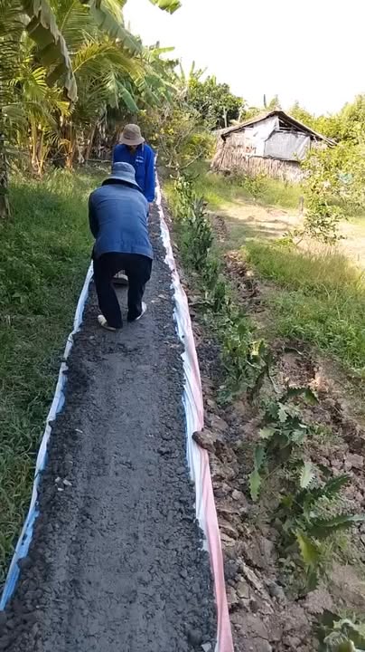 Đất 4000m² tại ấp Long Hòa 1, Hậu Giang - Giá chỉ 180 triệu VND