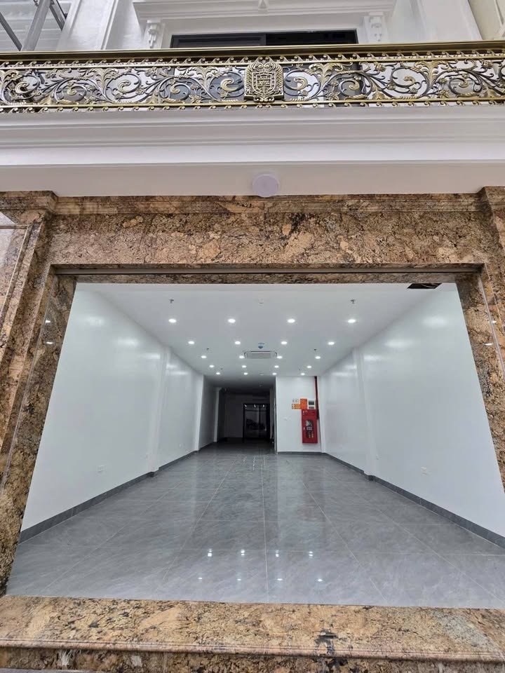 Nhà phân lô Đấu Giá Tứ Hiệp Thanh Trì 100m² giá 260 tỷ - Đầu tư sinh lời ngay!