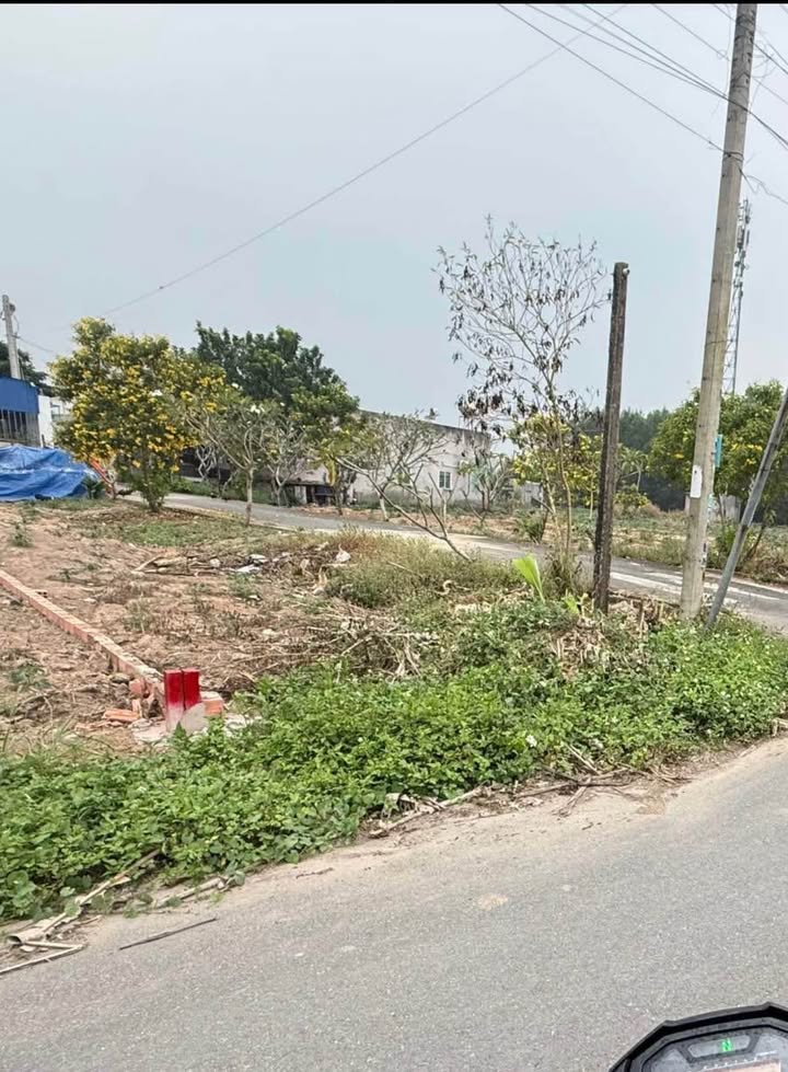 Đất nền ấp 5, xã An Viễn, huyện Trảng Bom 48m² giá 1.18 tỷ - Sổ đỏ chính chủ