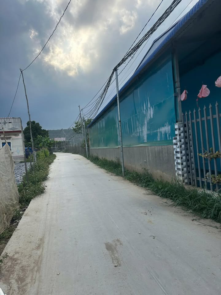 Lô đất 520m² tại Quảng Lập, Lâm Đồng - Giá chỉ 1 tỷ, cơ hội đầu tư tuyệt vời!