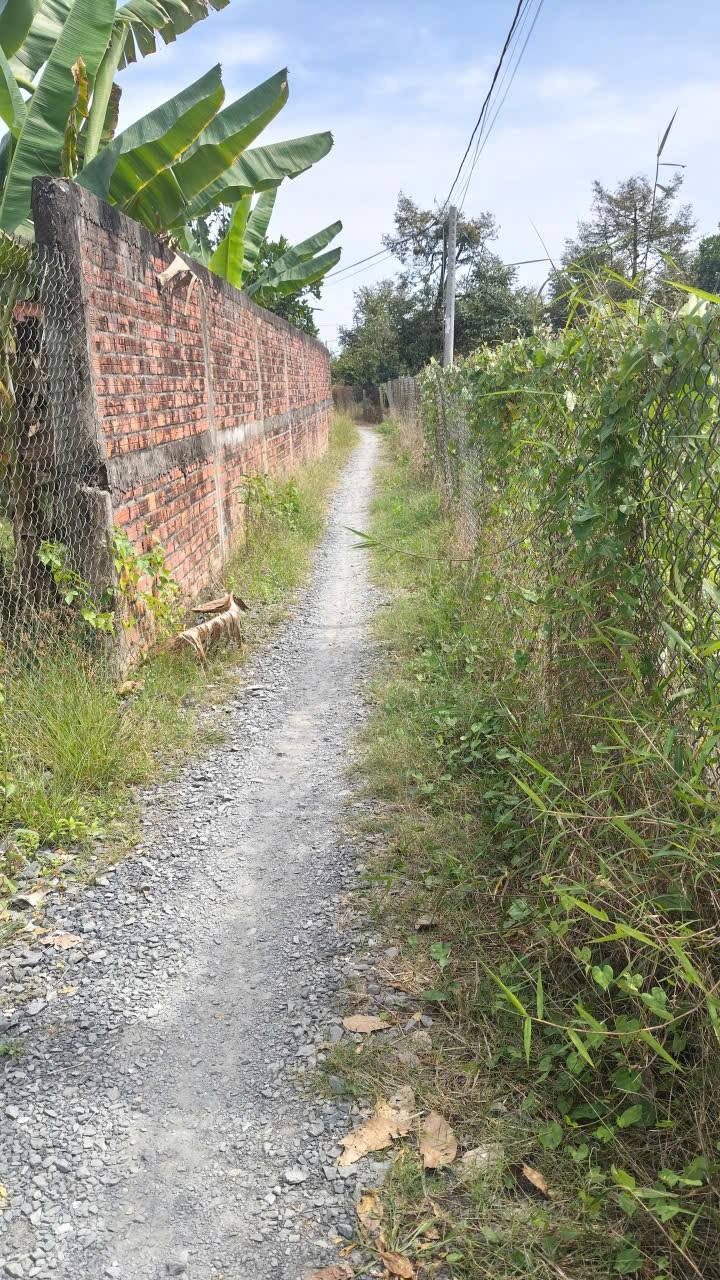 Đất vườn 2700m² ấp Hội Nhơn, Cai Lậy - Giá chỉ 2 tỷ, mặt tiền đẹp!