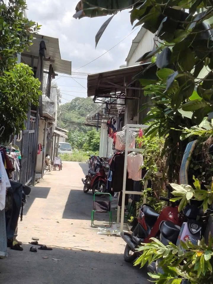 Nhà cấp 4 Tân Hiệp 150m² giá 1.599 tỷ - Đầu tư sinh lời ngay!