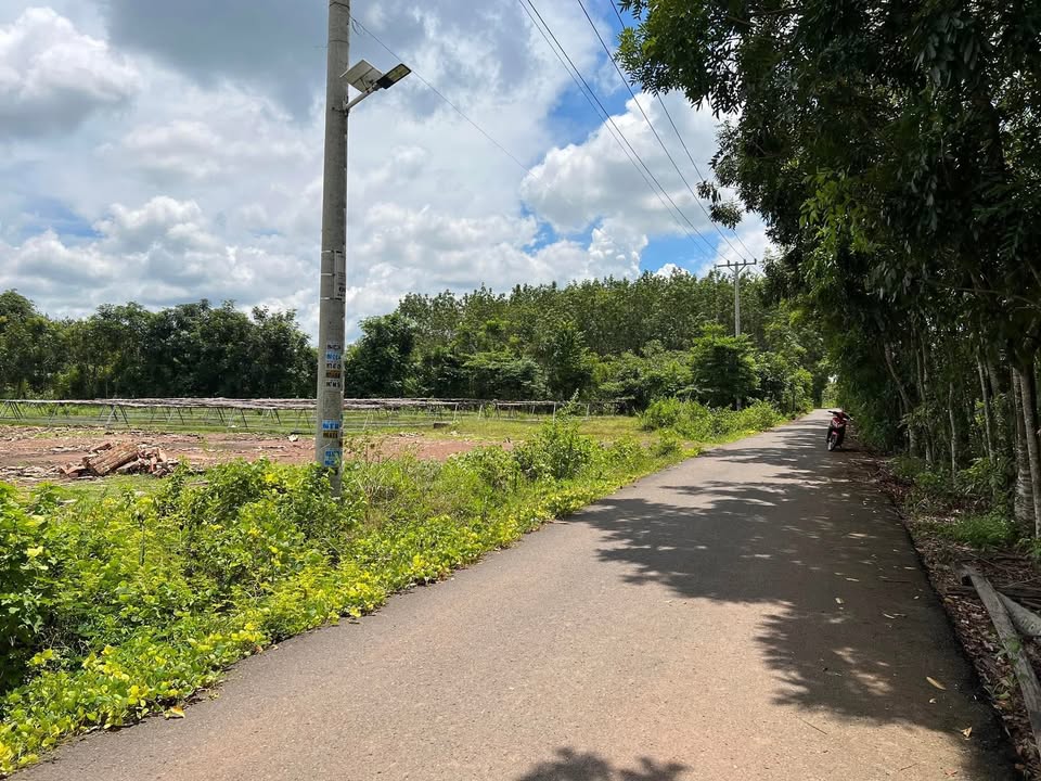 Đất nền mặt tiền nhựa ấp 3 Lộc Hưng 100m² giá 600 triệu - Đầu tư sinh lời cao!