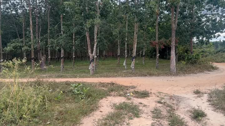 Đất nền xã Hà Tây - Chư Păh - Gia Lai 14400m² giá thỏa thuận - Đất trống, view đẹp, gần khu dân cư!