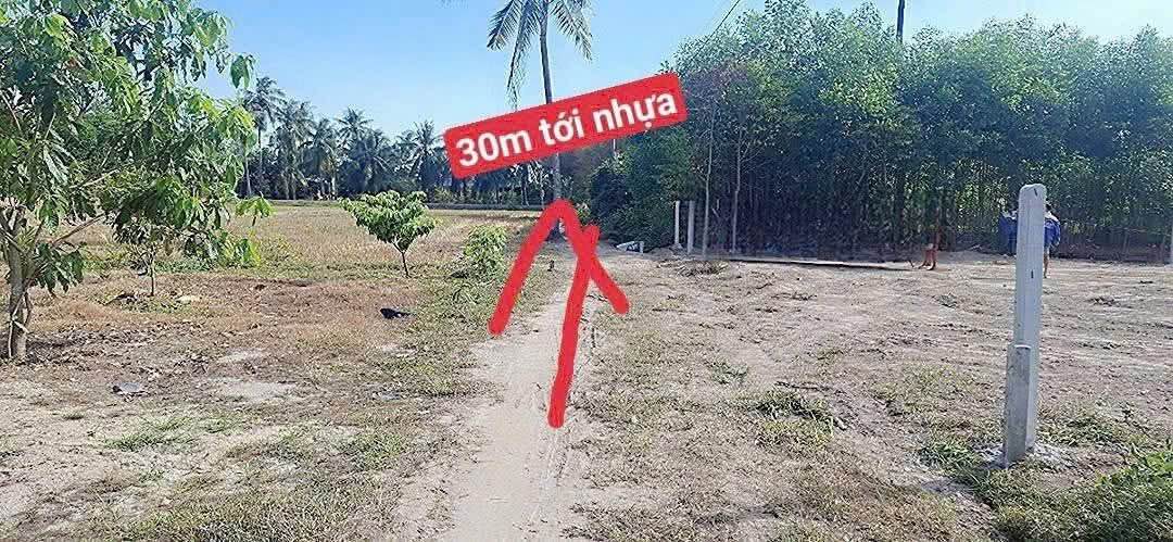 Đất nền Châu Thành Tây Ninh 1100m² giá 4.4 tỷ - Sổ đỏ chính chủ, thương lượng ngay!