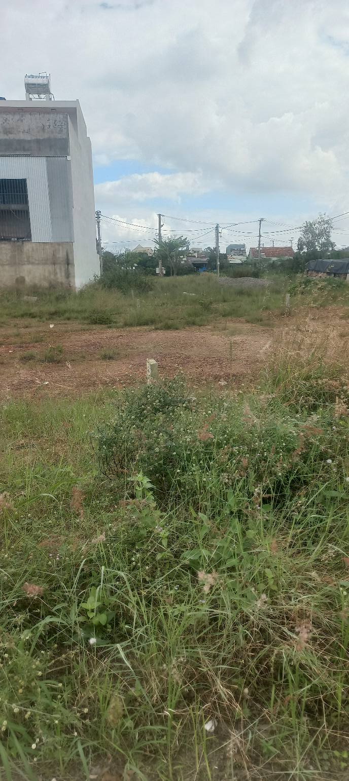 Lô đất Nhơn Thành An Nhơn 135m² giá 8xx triệu - Bán gấp do áp lực tài chính!