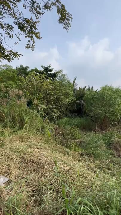 Đất mặt tiền Ngô Quang Thắm, Hiệp Phước 1450m² - Đầu tư sinh lời lý tưởng!