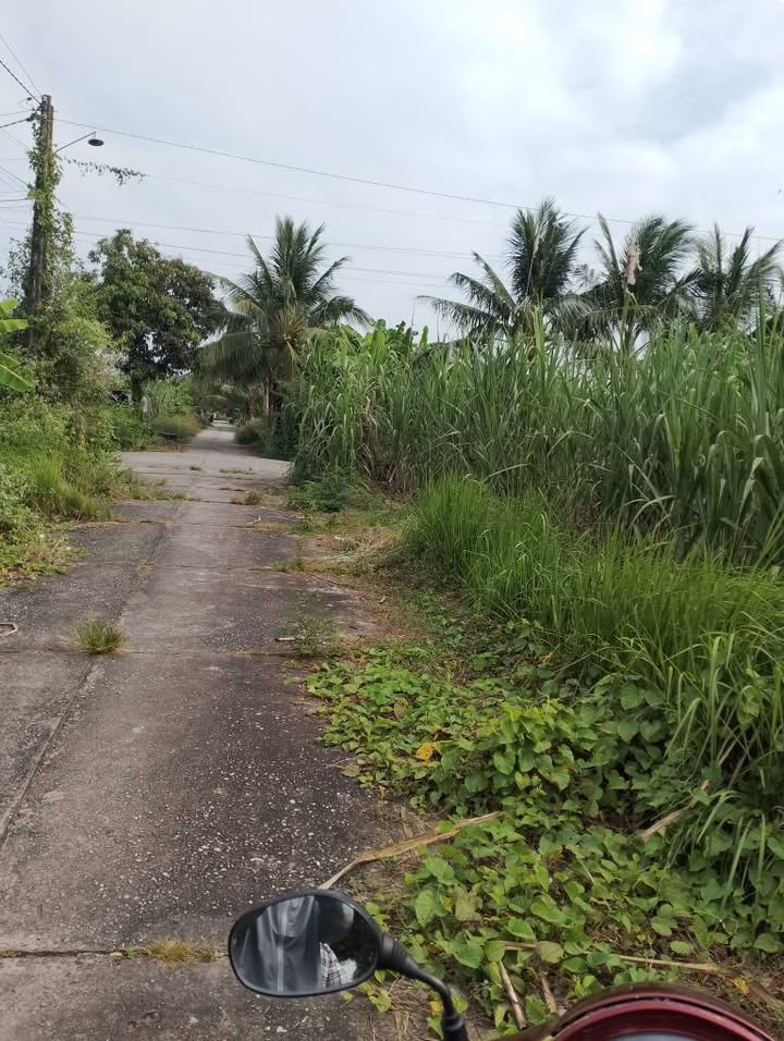 Đất nền Tân Hiệp Kiên Giang 104m² giá 240 triệu - Sổ hồng chính chủ