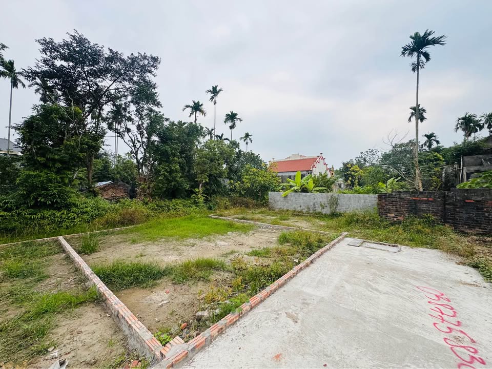 Đất nền 85m² đường Nhu Kiều, huyện An Dương - Giá chỉ 800 triệu