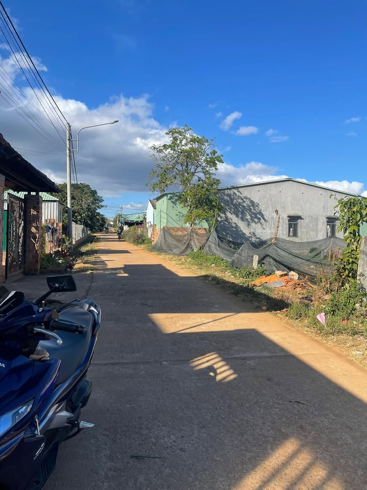 Nhà phố Bùi Viện, An Phú, Pleiku 50m² giá 1.1 tỷ - Thiết kế hiện đại, sân ô tô!