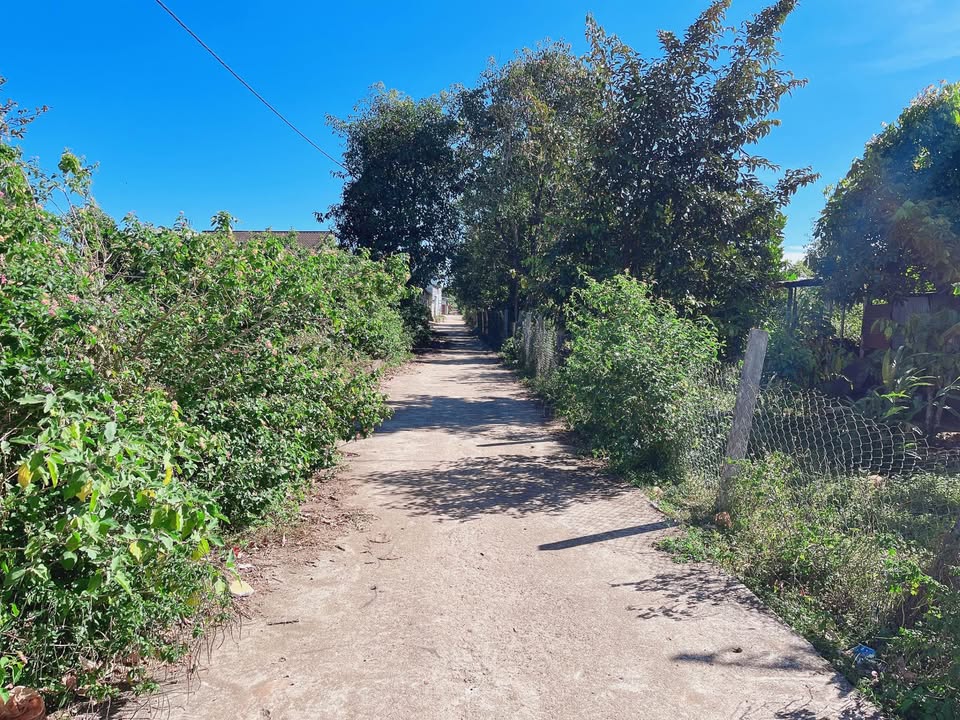 Đất nền hẻm Tôn Đức Thắng, Pleiku 235m² giá 1.2 tỷ - Cơ hội đầu tư tuyệt vời!