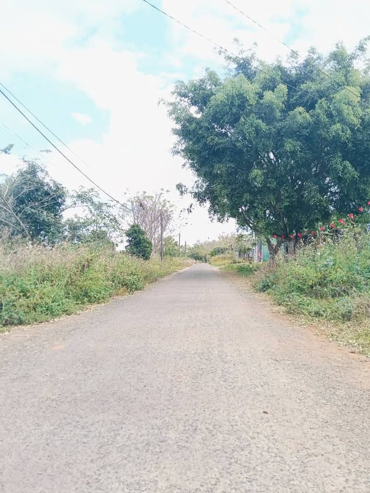 Nhà bán Thắng Lợi Pleiku 150m² giá 900 triệu - Hướng Bắc phong thủy, thoáng mát!