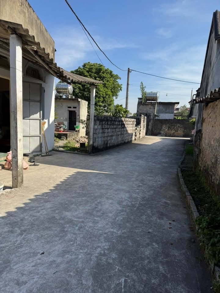 Đất nền Tuy Lai, Mỹ Đức 82,3m² giá 1 tỷ - Sổ đỏ chính chủ!