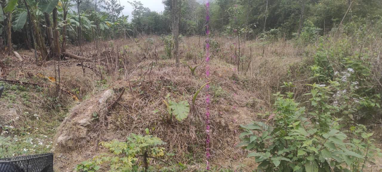 Đất vườn Gia Lâm 1075m² giá 550 triệu - Đầu tư sinh lời tuyệt vời!